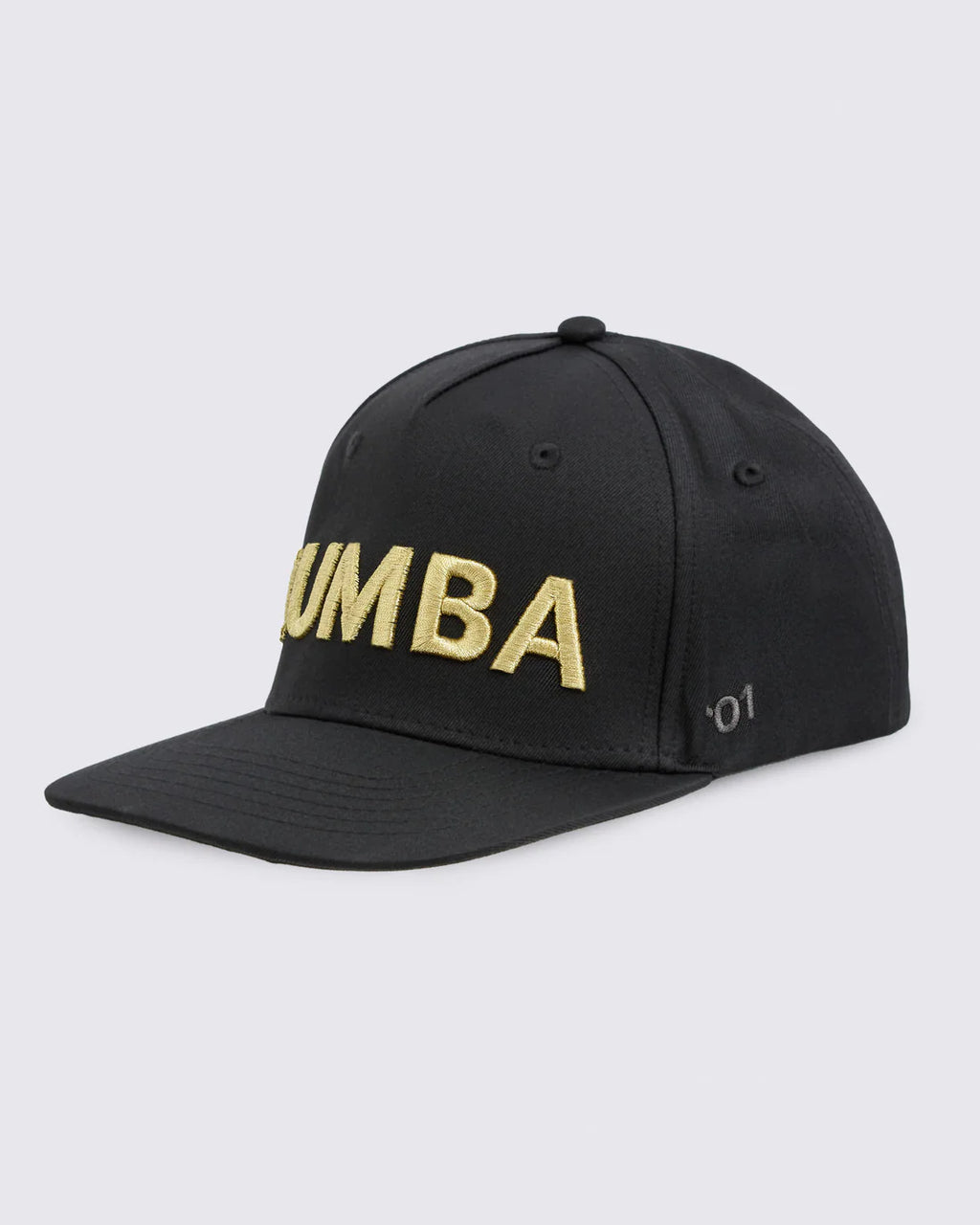 Zumba Core Snapback Hat B22