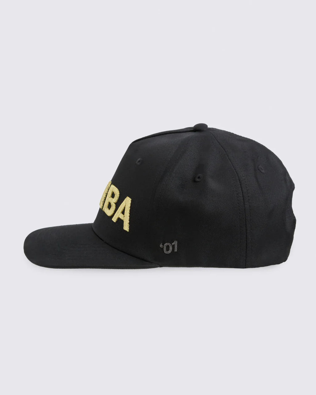 Zumba Core Snapback Hat B22